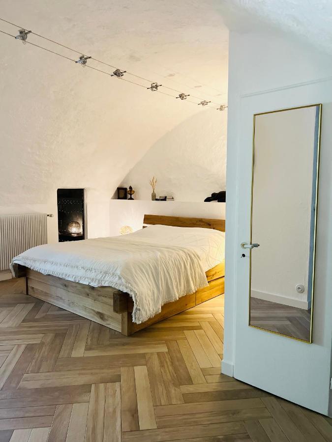 Superbe Appartement Au Chateau D'Allaman De 80M2 Люгрен Екстер'єр фото